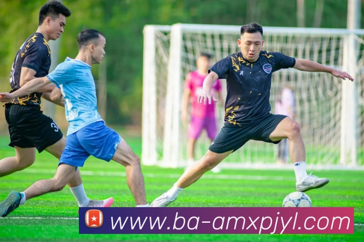 新葡京娱乐平台生态图