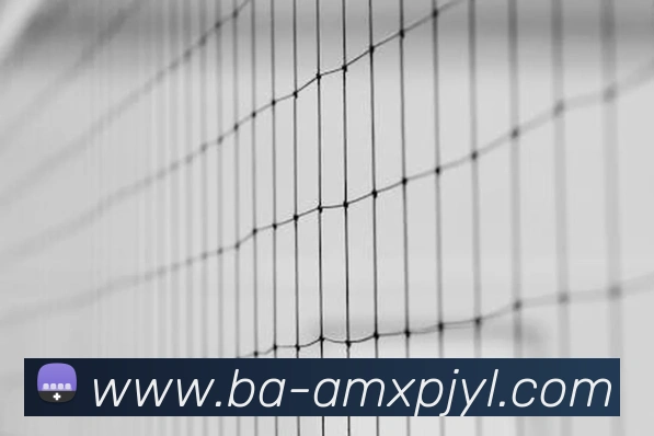 新葡京娱乐APP 封面图